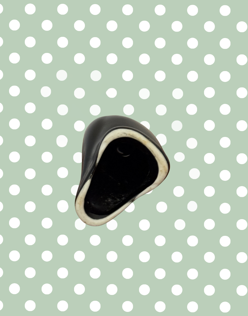 Underside View of Vintage Black Pie Bird with Yellow Beak