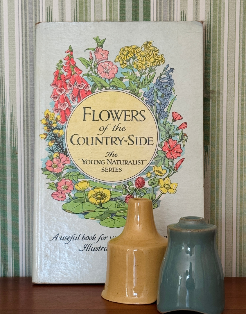 Vintage Flowers of the Country-Side Young Naturalist Book with Colour Illustrations