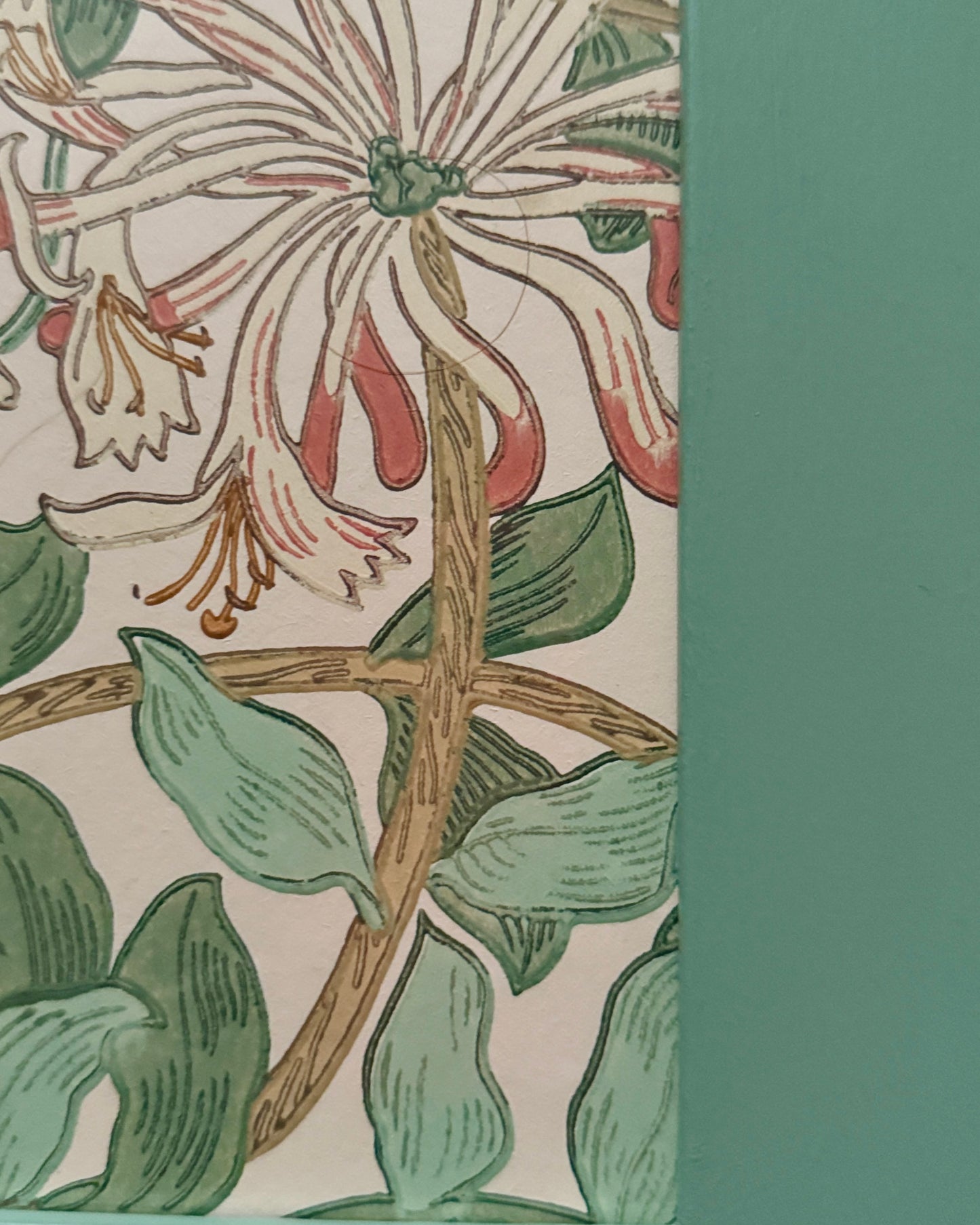 Framed Print - William Morris ‘Honeysuckle' Vintage Wall Decor | Antique & Vintage Wall Art Collection