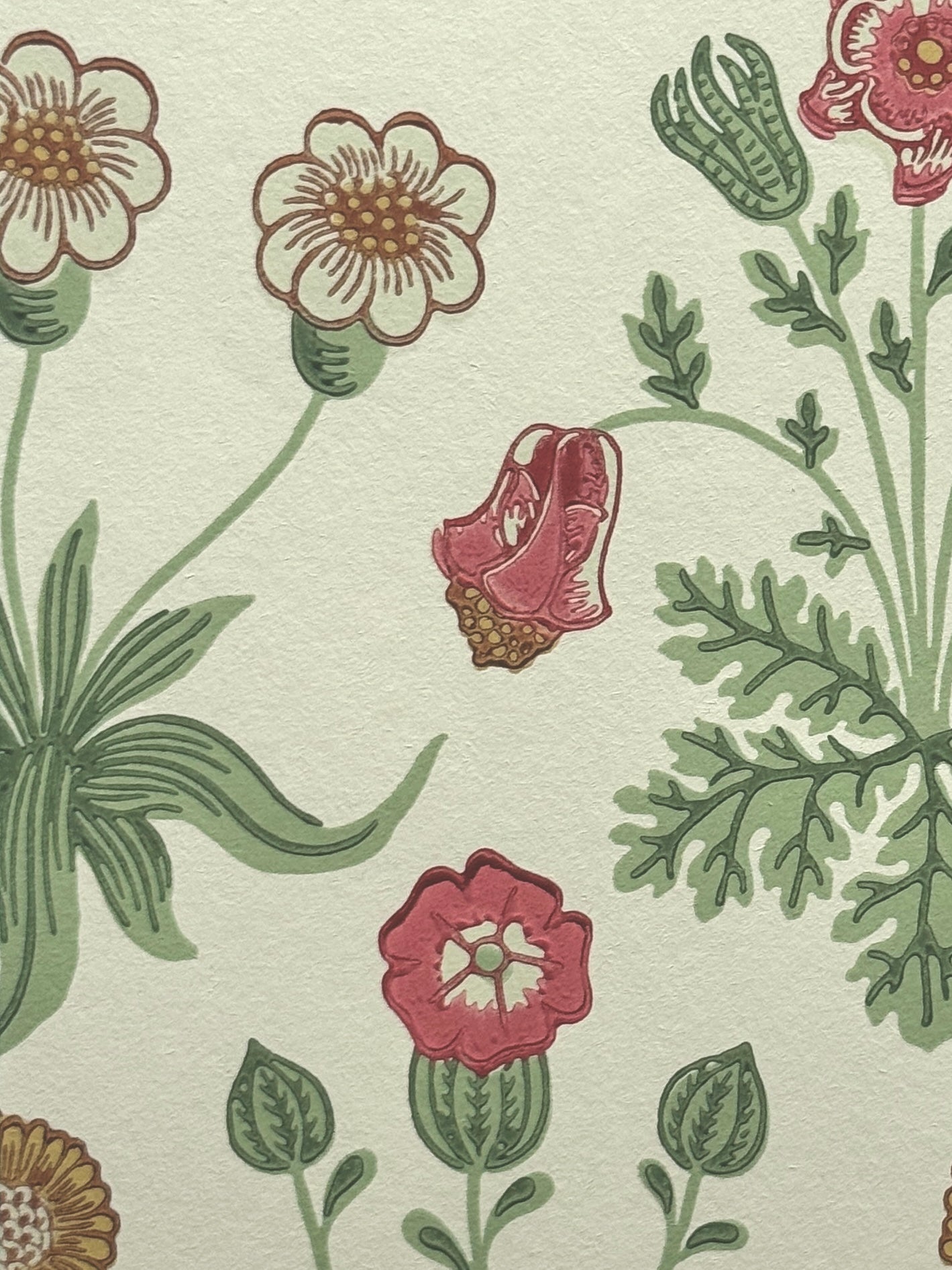 ‘Daisy – Willow & Pink’ William Morris Unique Wall Decor | Wood Framed Morris & Co. Vintage Archive Wallpaper Print