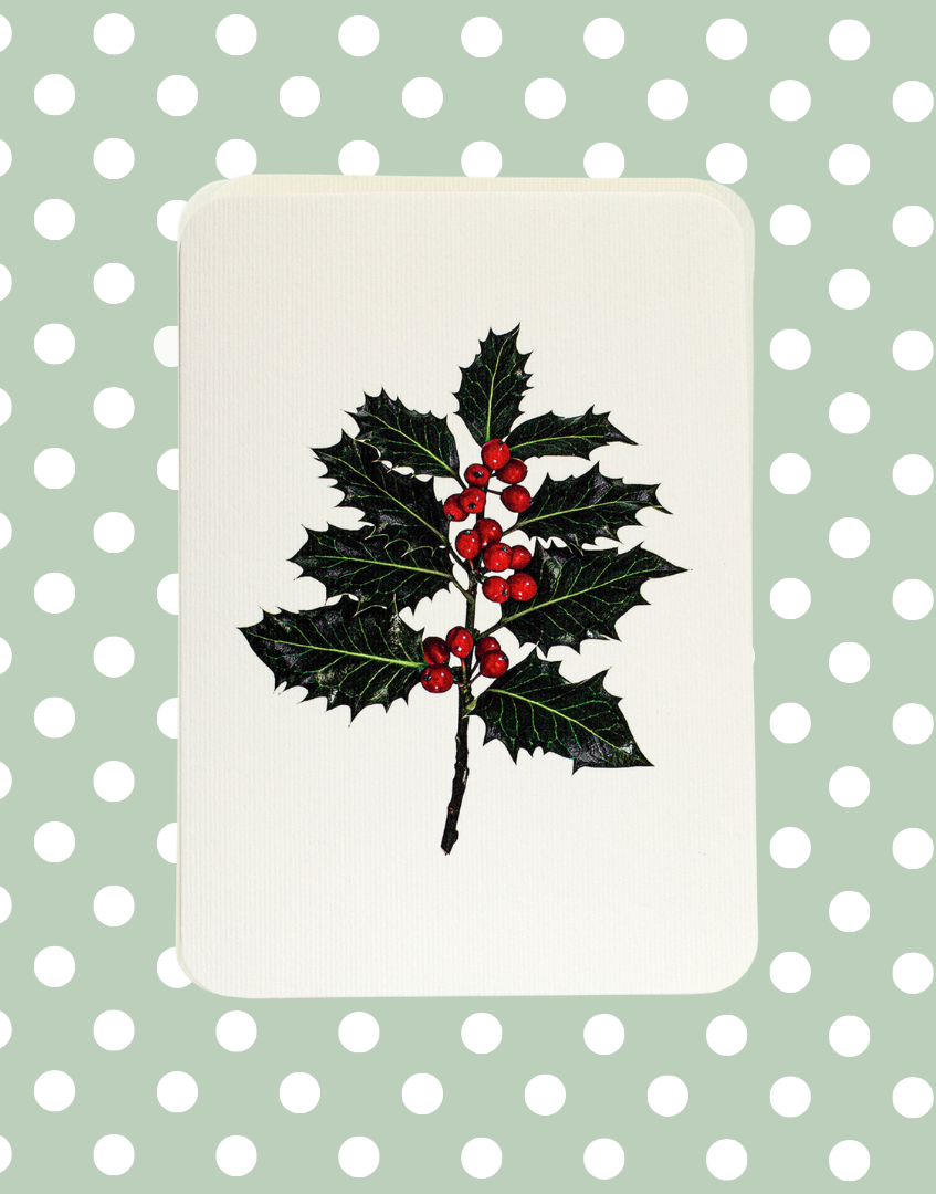Christmas Holly Festive Greeting Card | Alexandra Simms for Canonbury Press