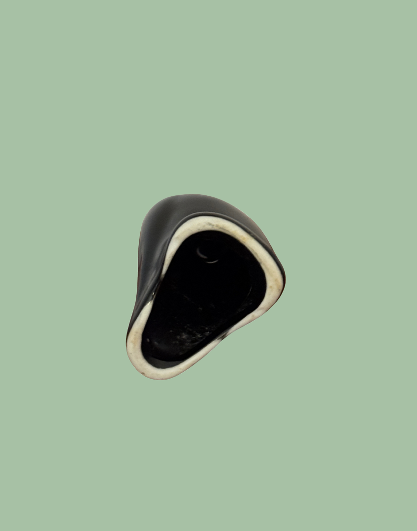 Underside View of Vintage Black Pie Bird with Yellow Beak