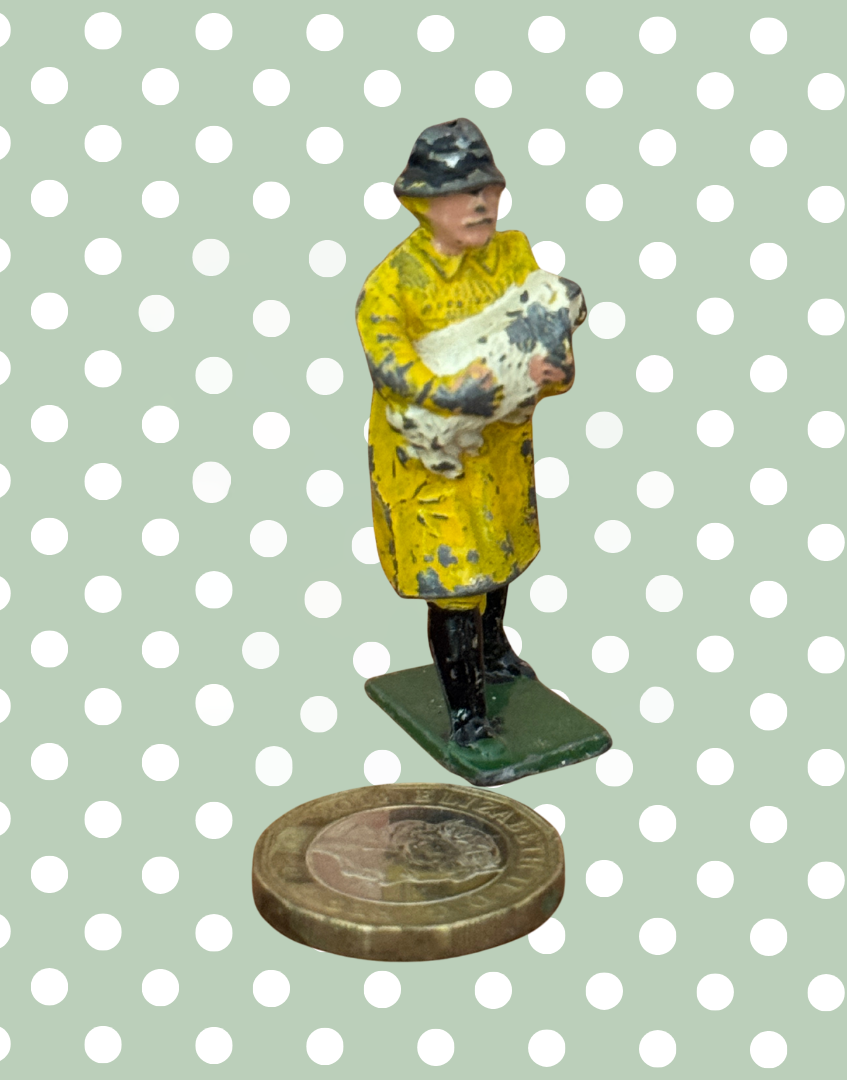 British Farmer Carrying Cream Sheep in Yellow Raincoat next to one pound coin for scale
