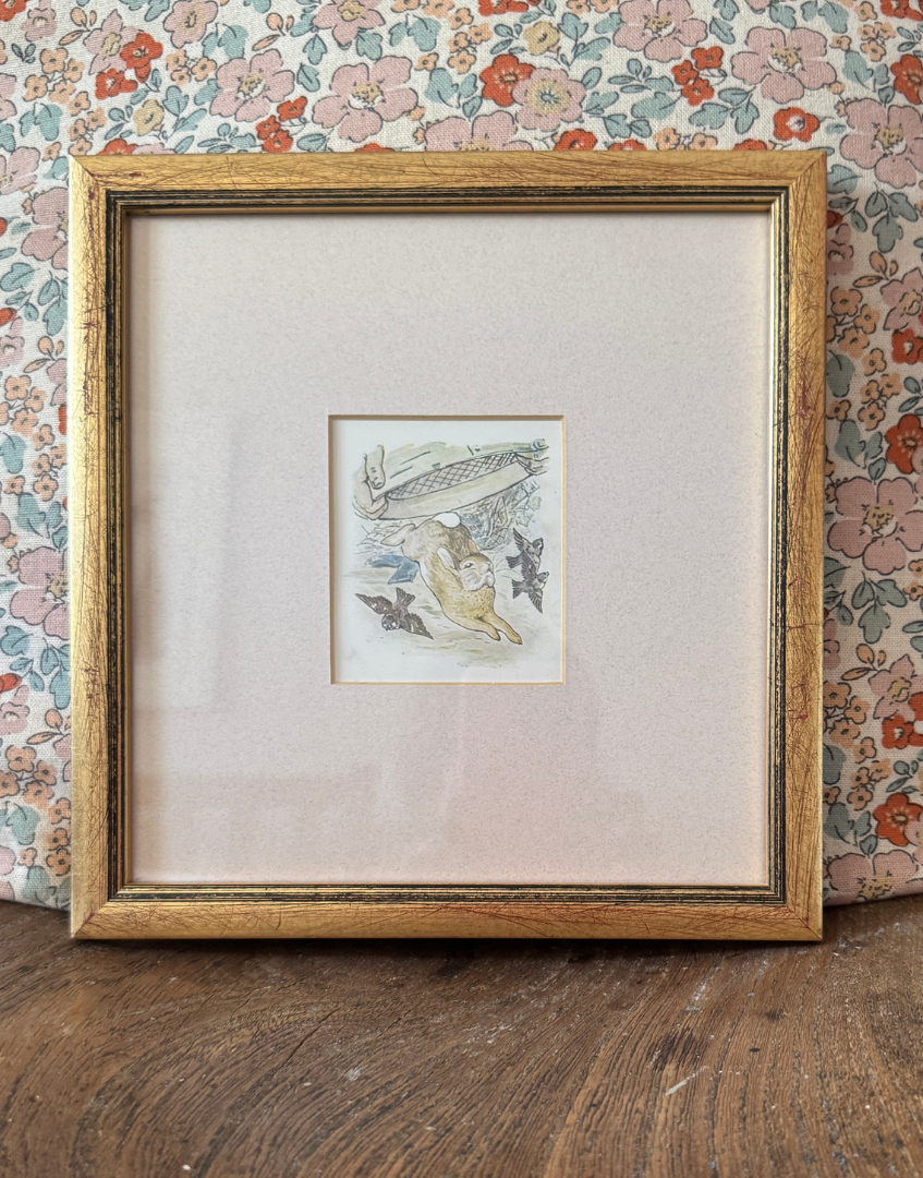 Pickwick Gallery Endearing Antique Beatrix Potter Framed Print – The Tale of Peter Rabbit, 1908