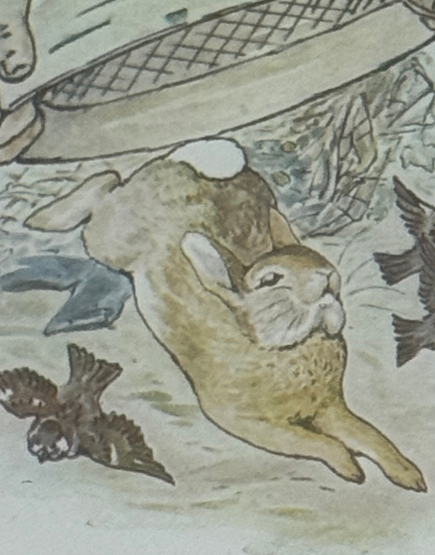 Pickwick Gallery Endearing Antique Beatrix Potter Framed Print – The Tale of Peter Rabbit, 1908