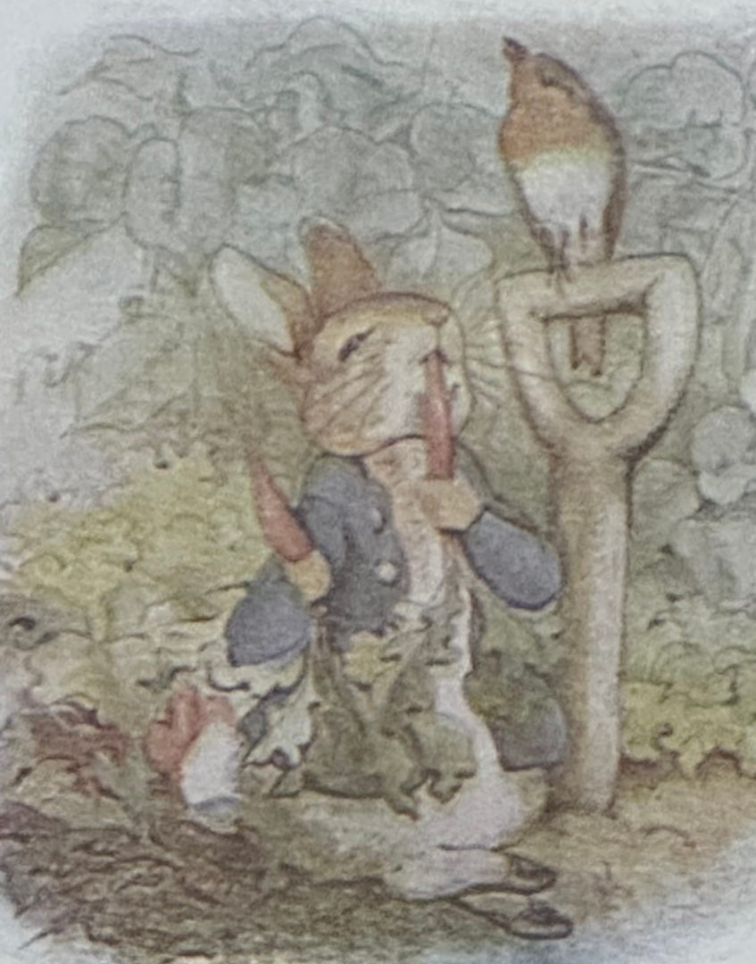 Pickwick Gallery Classic Antique Beatrix Potter Framed Print – The Tale of Peter Rabbit, 1912