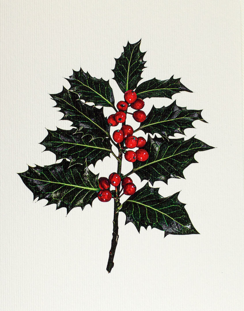 Christmas Holly Festive Greeting Card | Alexandra Simms for Canonbury Press