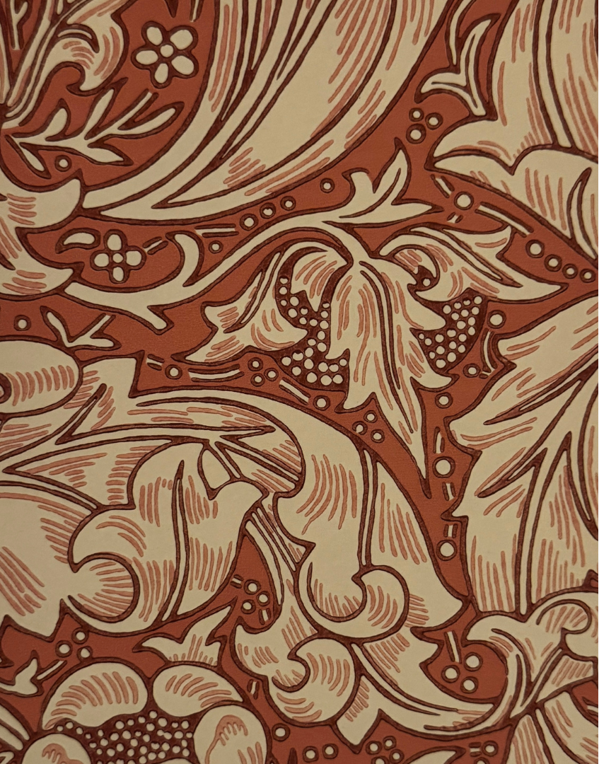 Bachelor’s Button – Russet | William Morris Botanical Autumnal Collection Framed Wall Art