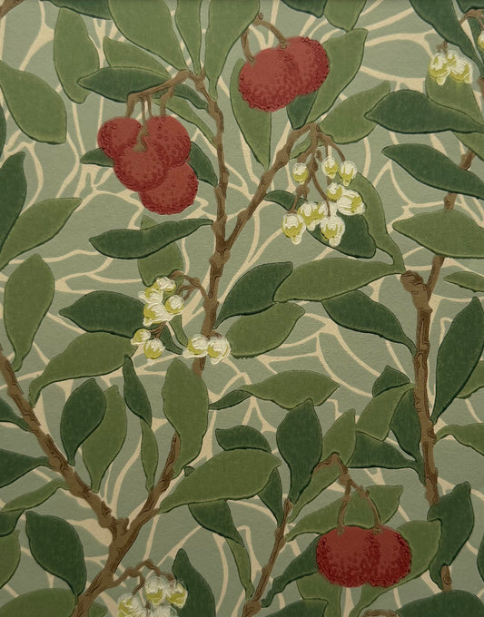 'Arbutus – Thyme & Coral’ William Morris Botanical Wallpaper Design
