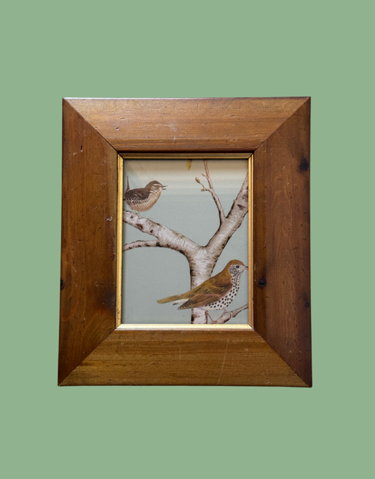 Sanderson 'Woodland Chorus' Sky Blue Wren & Thrush Pretty Print in Unique Brown & Gold Frame