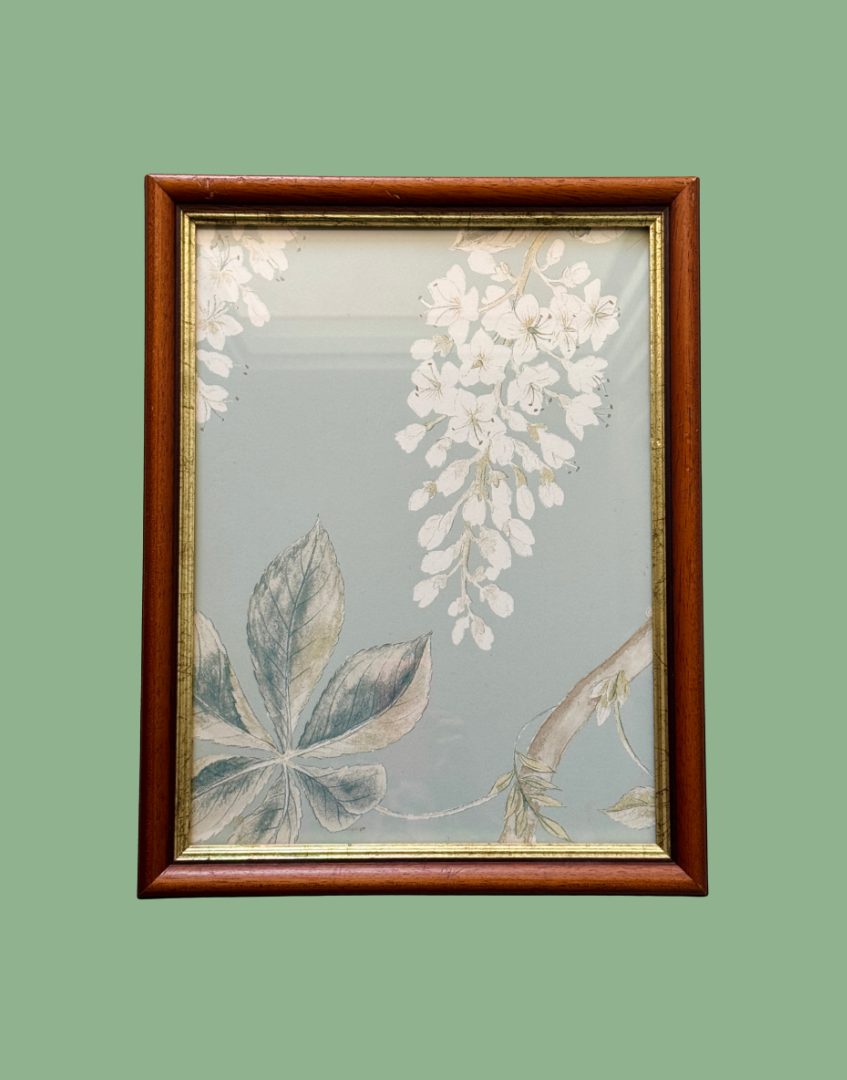 Chestnut Flower full front botanical framed wall art aqua background