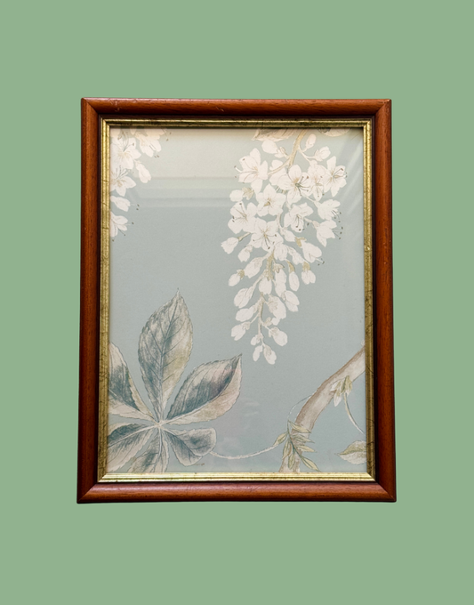 Chestnut Flower full front botanical framed wall art aqua background