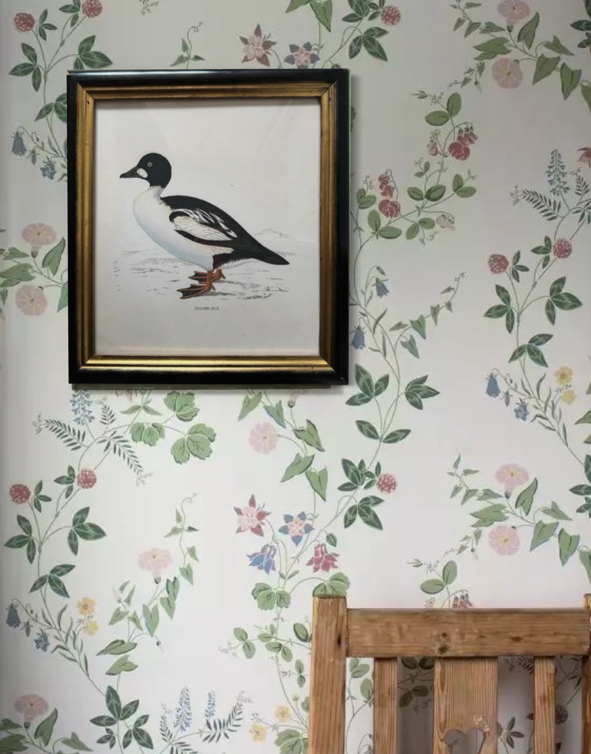 Antique Black and Gold Wood Framed illustration of a duck on a wall with floral wallpaper