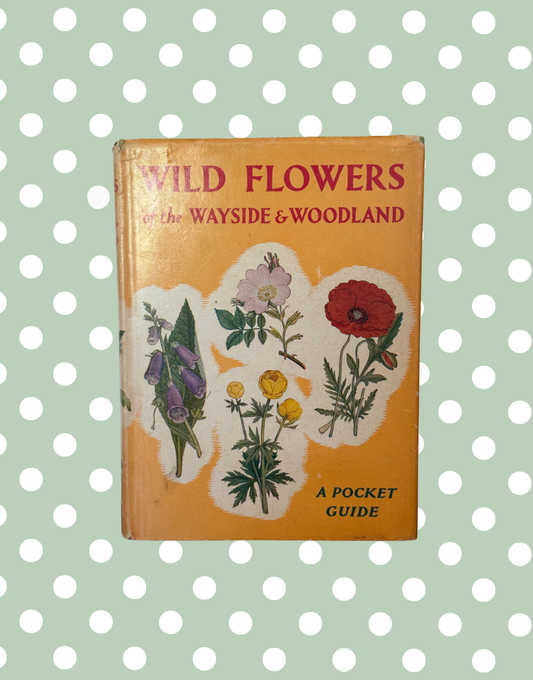 Wild Flowers of the Wayside & Woodland 1950s Vintage Botanical Pocket Guide