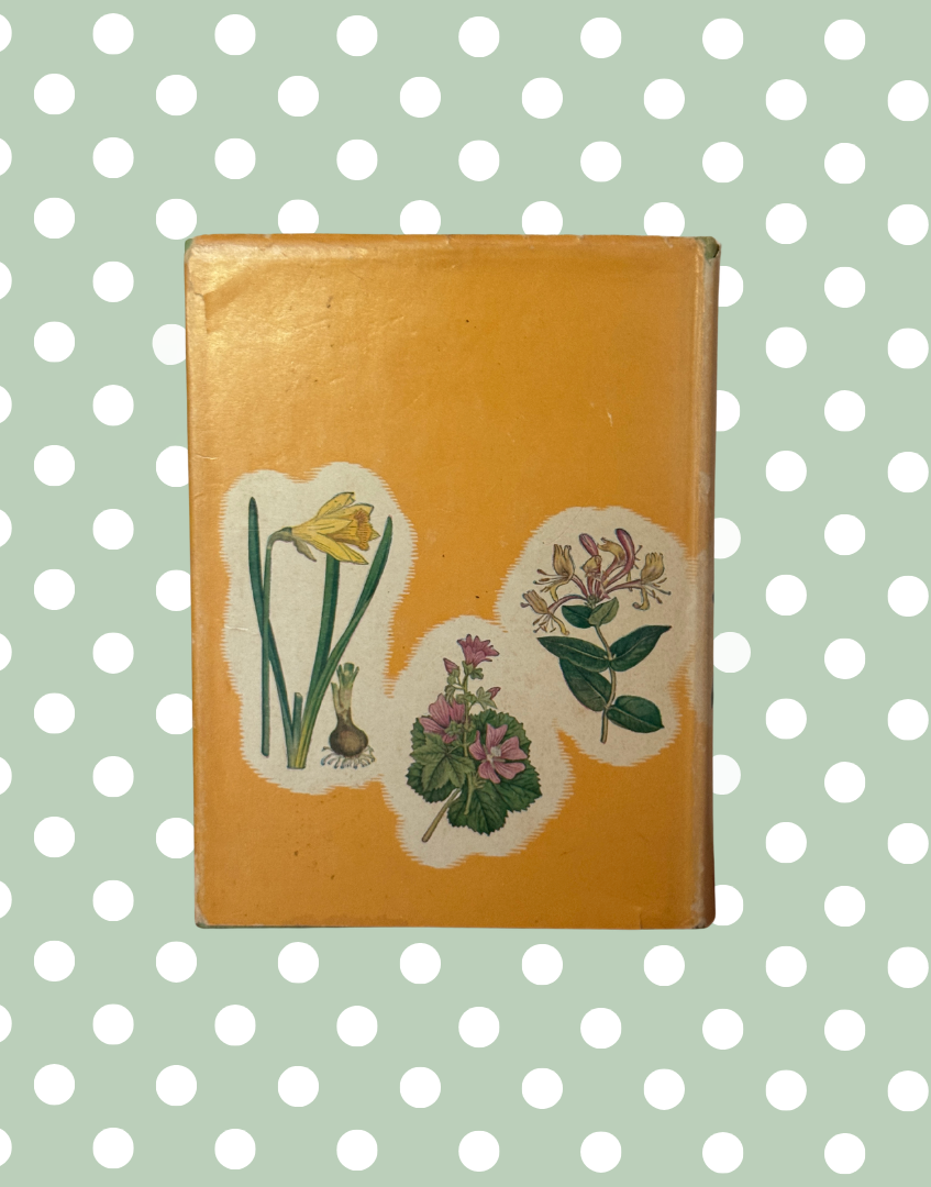 Back cover of Wild Flowers of the Wayside & Woodland vintage flower book with aged yellow dust jacket