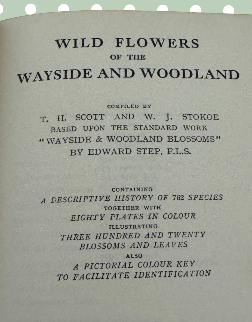 Title page of a book titled 'Wild Flowers of the Wayside and Woodland' by T. H. Scott and W. J. Stokoe.