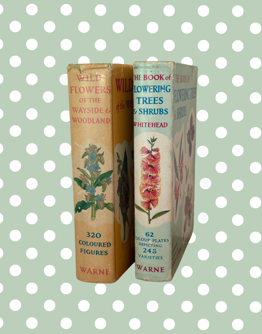 Yellow  and light blue spine detail of Frederick Warnes wild flower pocket guide  and flowering trees and shrubs pocket guide from the 1950s