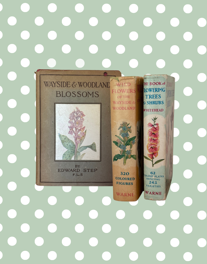 Three vintage books on botany against a polka dot background
