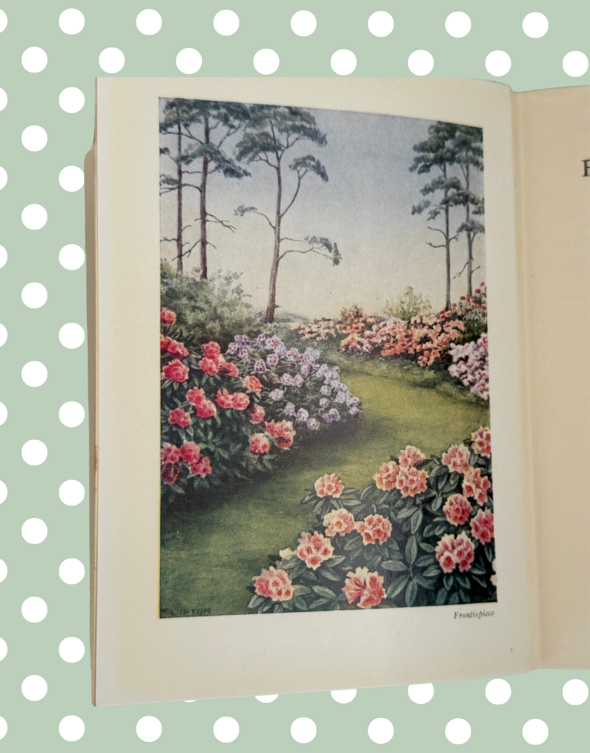 Colour botanical illustrations of flowering shrubs and trees inside vintage gardening book