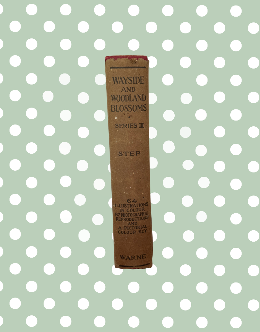 Olive spine detail of vintage British flower guide by Frederick Warne