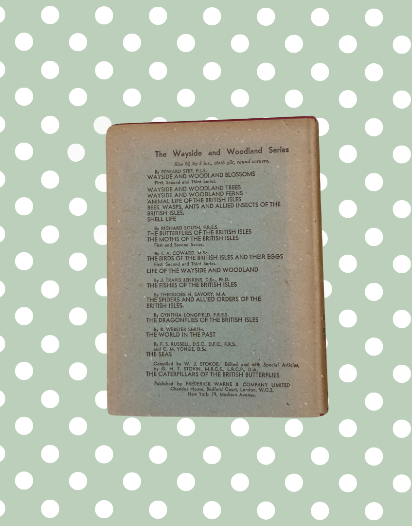 Back cover of Wayside and Woodland Blossoms vintage botanical hardback