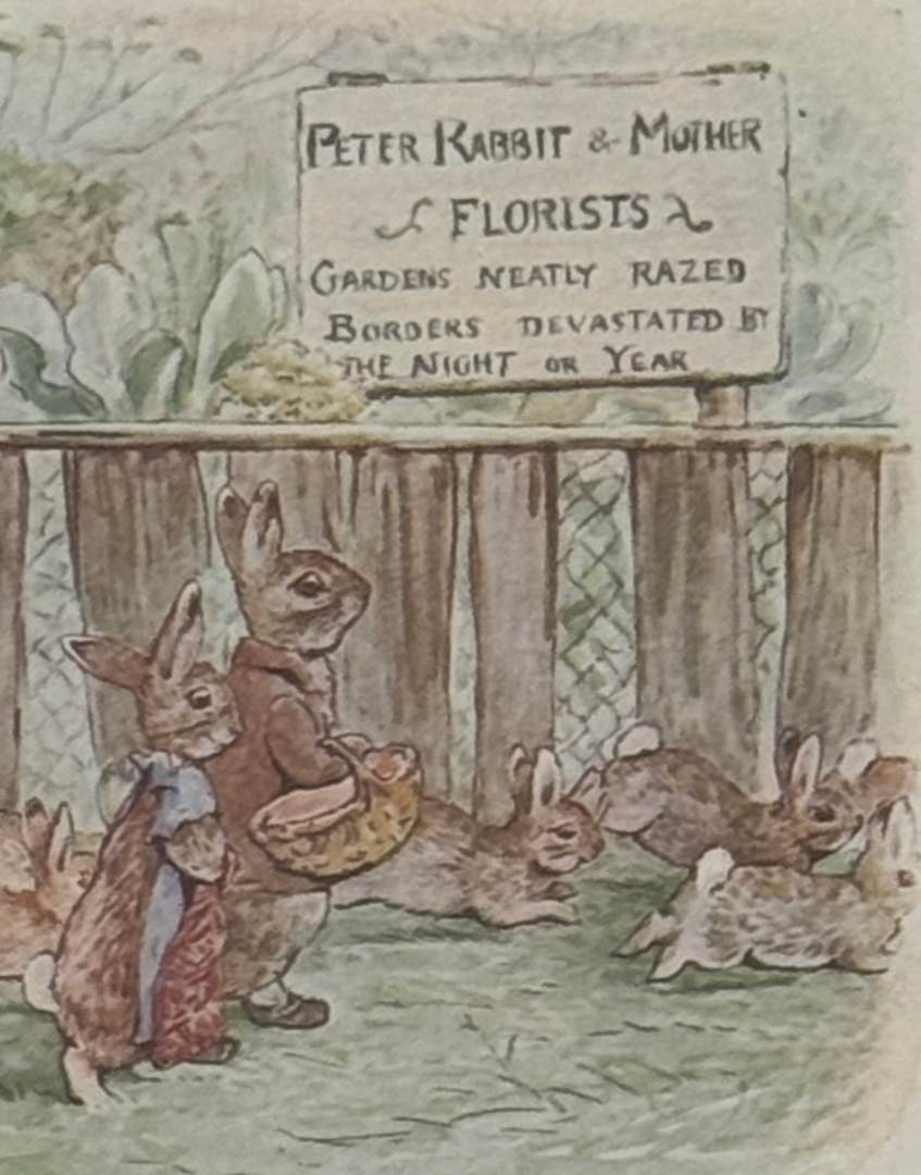 Pickwick Gallery Antique Beatrix Potter Charming Framed Print – The Tale of the Flopsy Bunnies, 1909