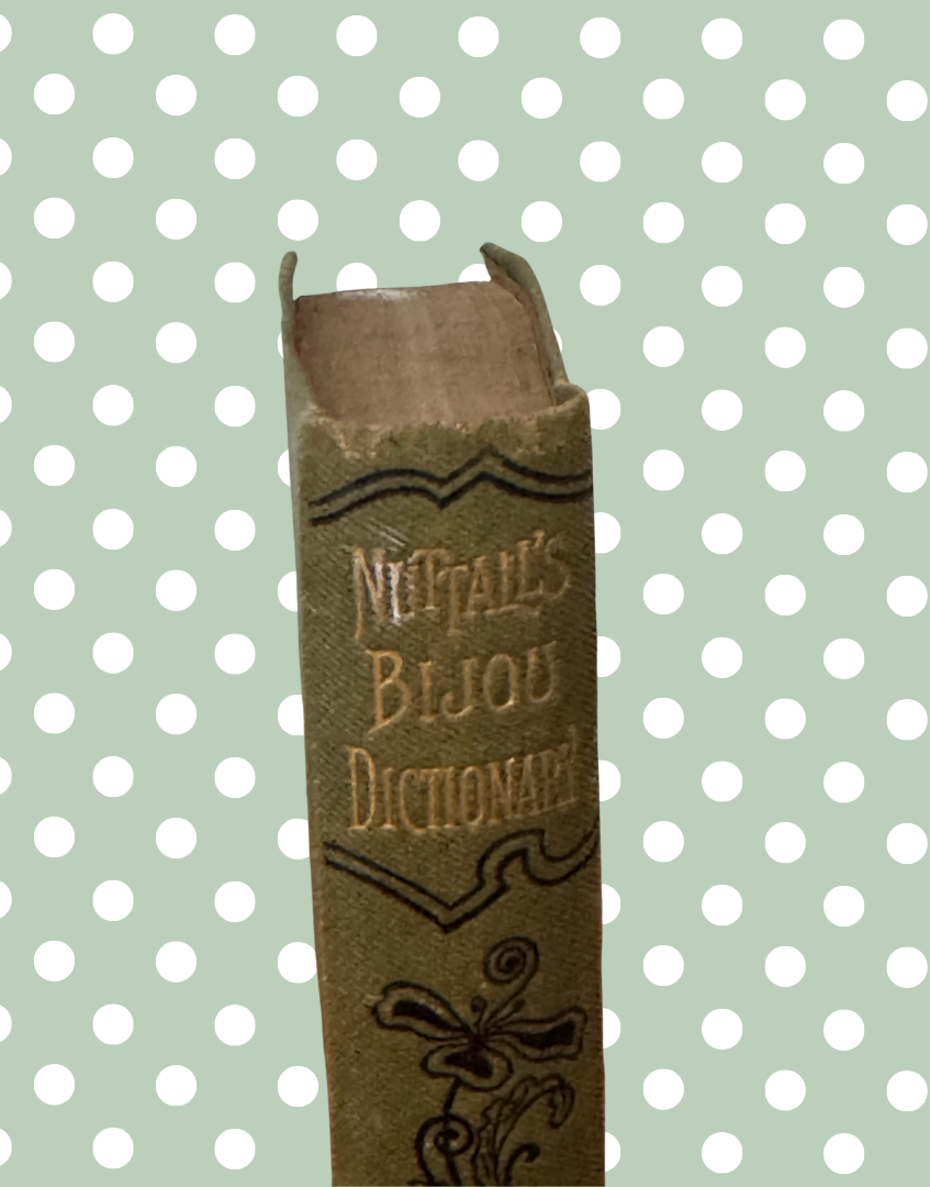 Rare Miniature Nuttall’s Bijou Dictionary | Frederick Warne & Co. Victorian Collectable