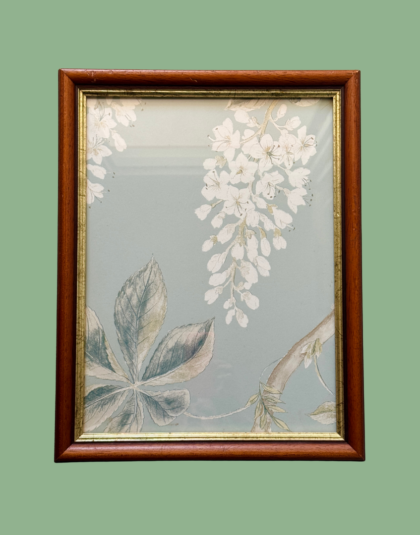 Chestnut Flower full front botanical framed wall art aqua background