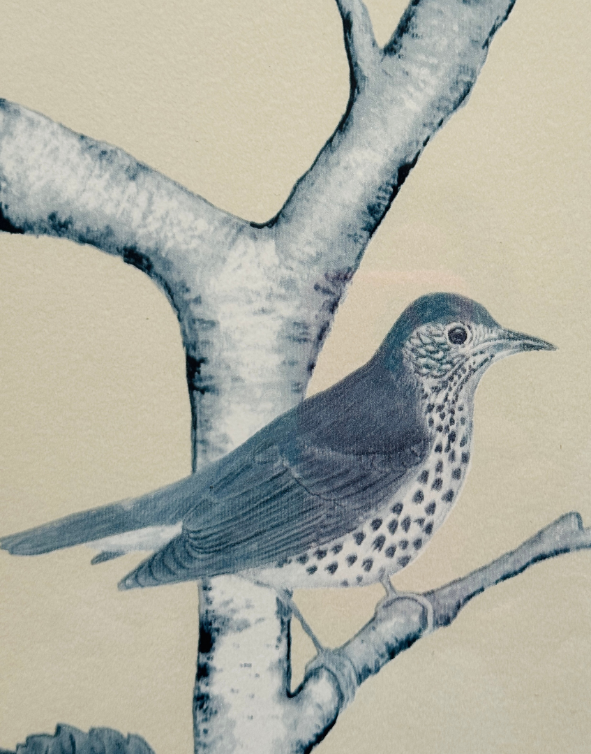 Bird perched on a branch with a beige background