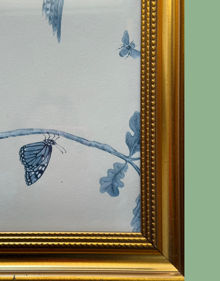Framed artwork with blue butterfly design on a light gray background