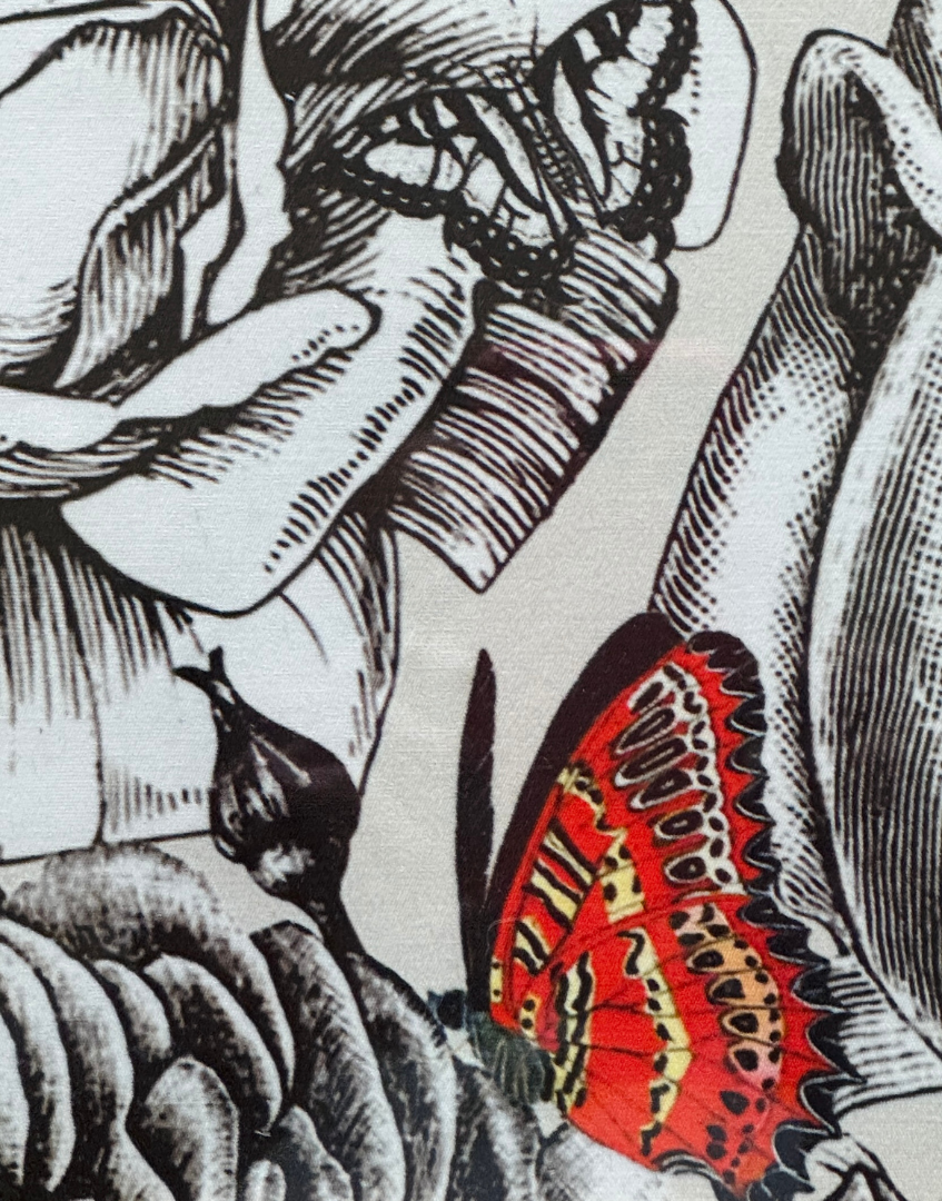Close up red butterfly detail Butterfly Tattoo framed art