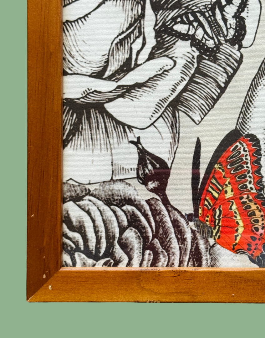 Close up brown wood vintage frame Butterfly Tattoo wall décor