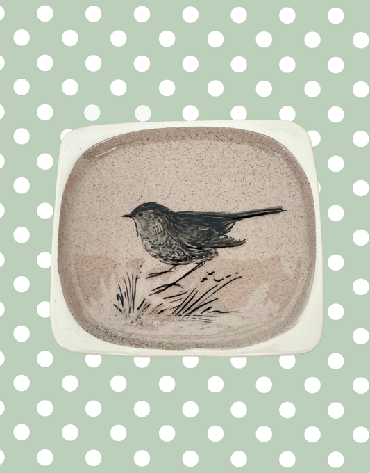 Stuart Bass Devon pottery wren illustrated trinket dish