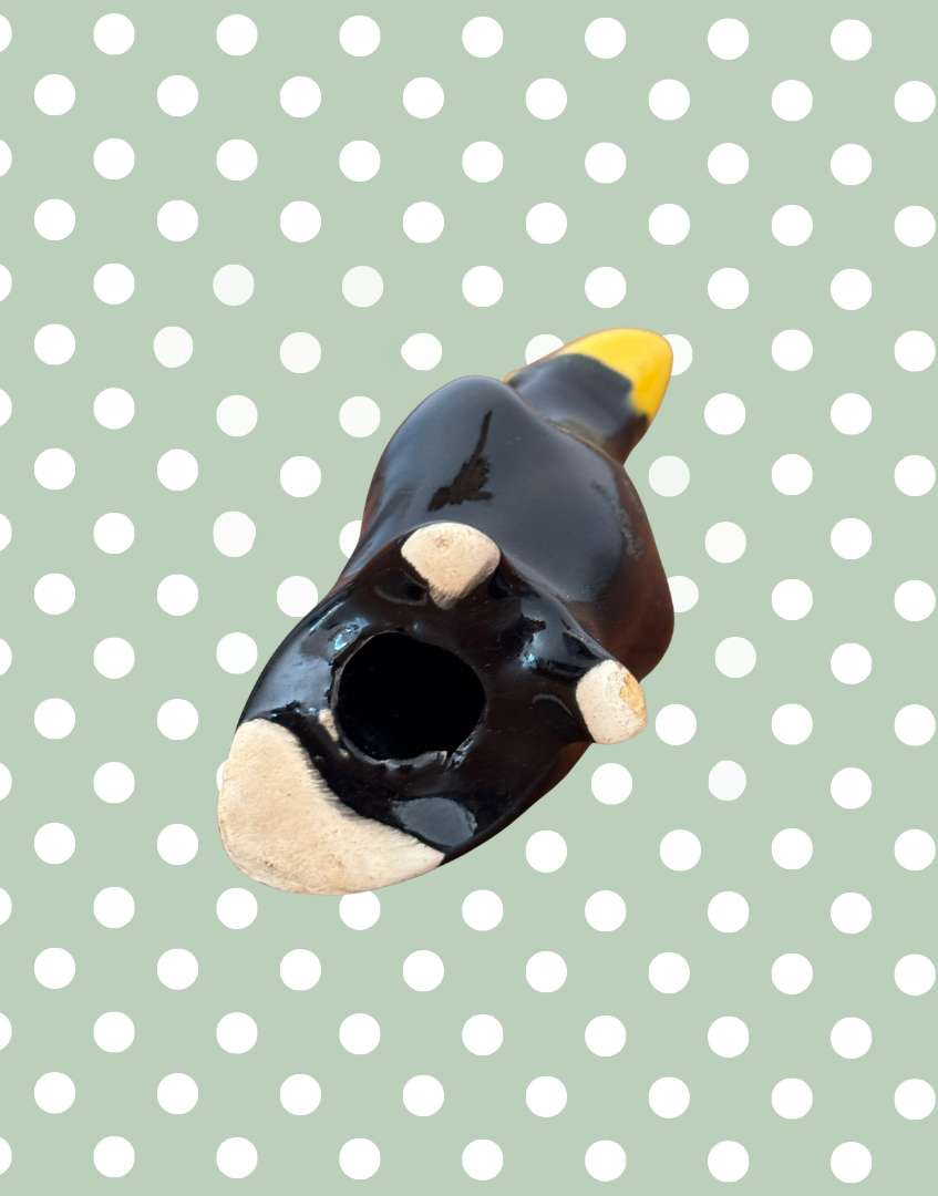 Base view of interior of pie funnel bird