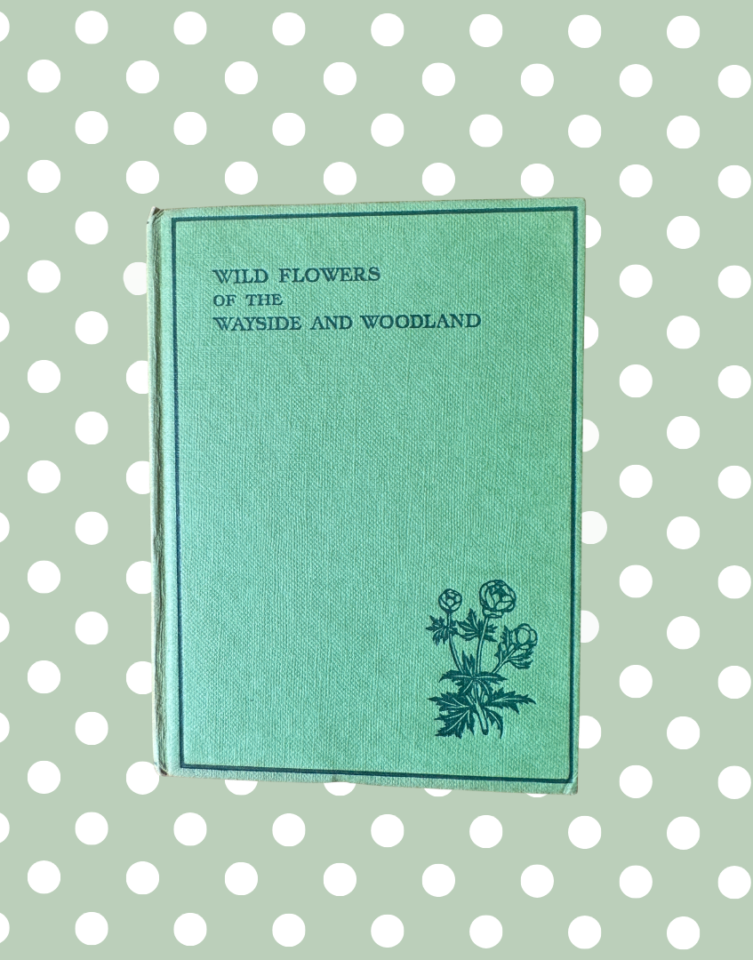 Canvas hardback botanical guide by Frederick Warne displayed without outer jacket