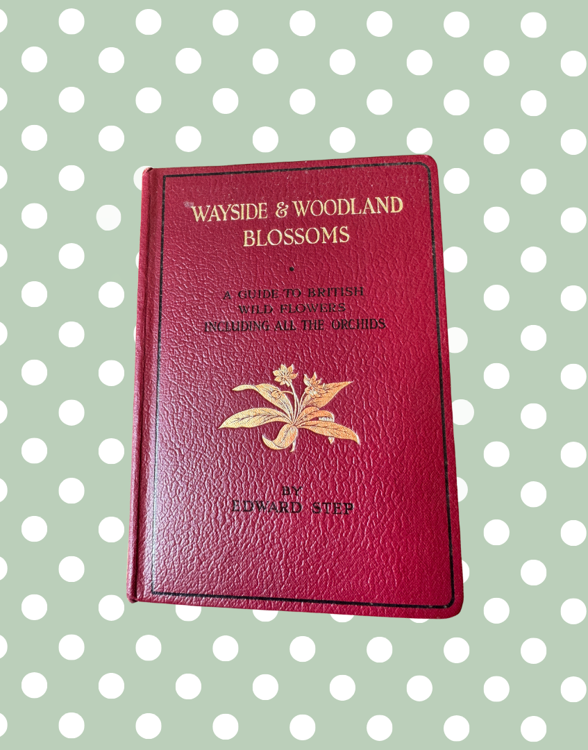 Wayside and Woodland Blossoms without dust jacket showing red leather-style canvas cover