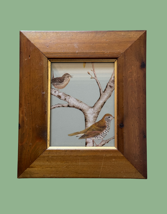 Sanderson 'Woodland Chorus' | Sky Blue Wren & Thrush Pretty Print in Unique Brown & Gold Frame