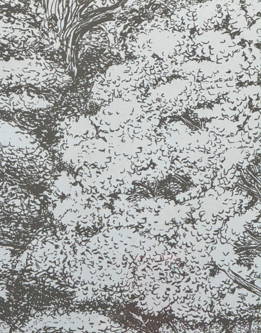 Close up of Sanderson 'Woodland Toile - Charcoal & Cream'