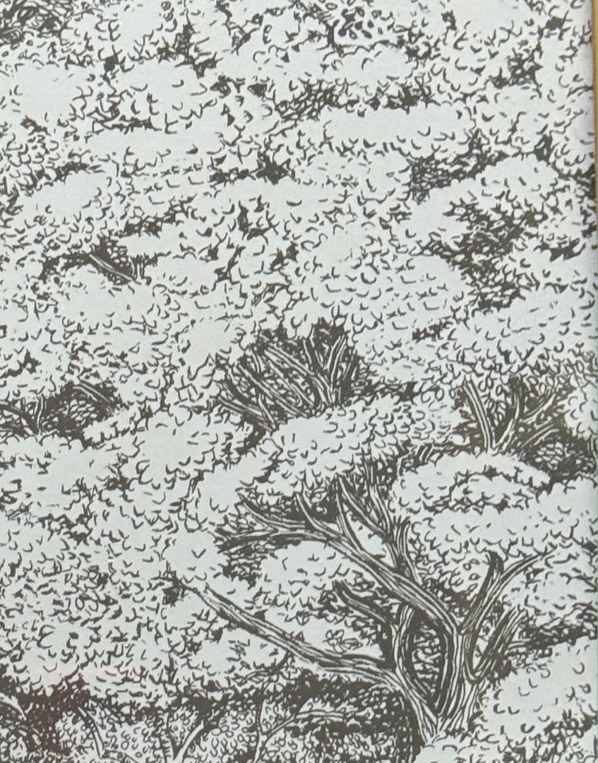 Sanderson woodland toile Illustration of trees and bushes pattern