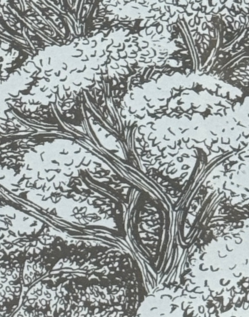 Black and white illustration of a tree with intricate details