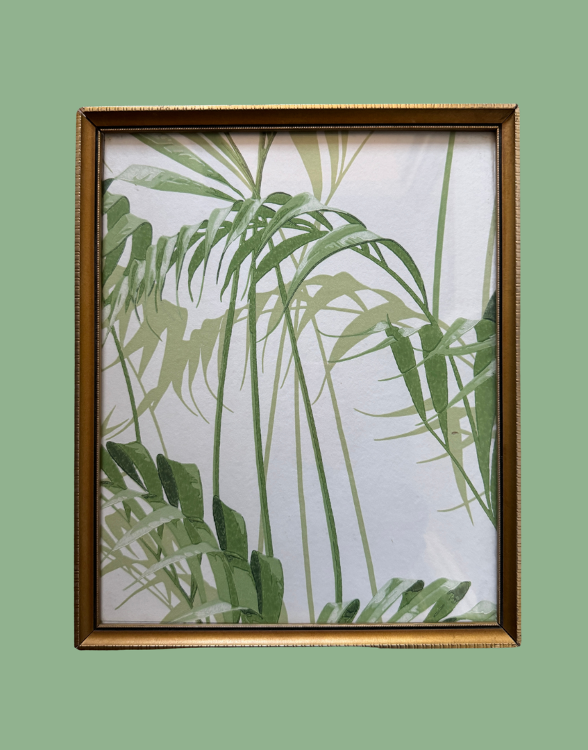 Sanderson Palm House, Black & Gold Framed Wallpaper