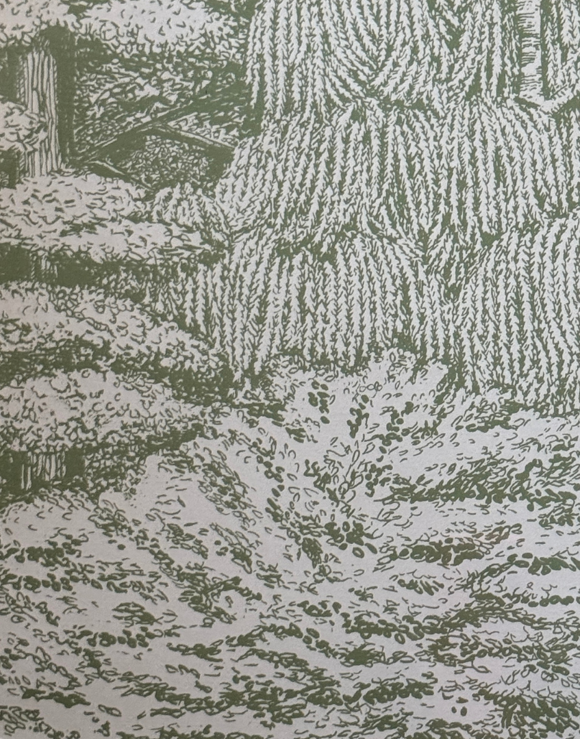 Sanderson 'Woodland Toile - Cream & Green' pattern