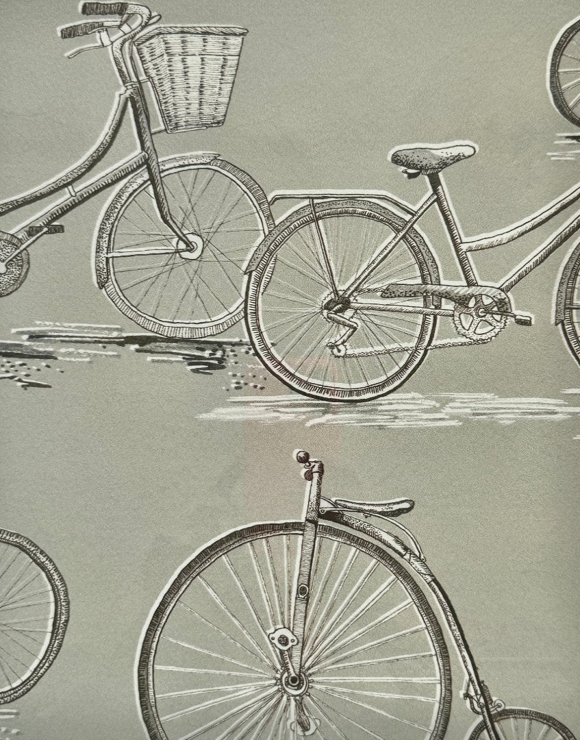 Framed Wall Art Print Sourced Voyage Maison Natural History Vol 1 Archive Wallpaper Sample Book - Penny Farthing (Sepia)