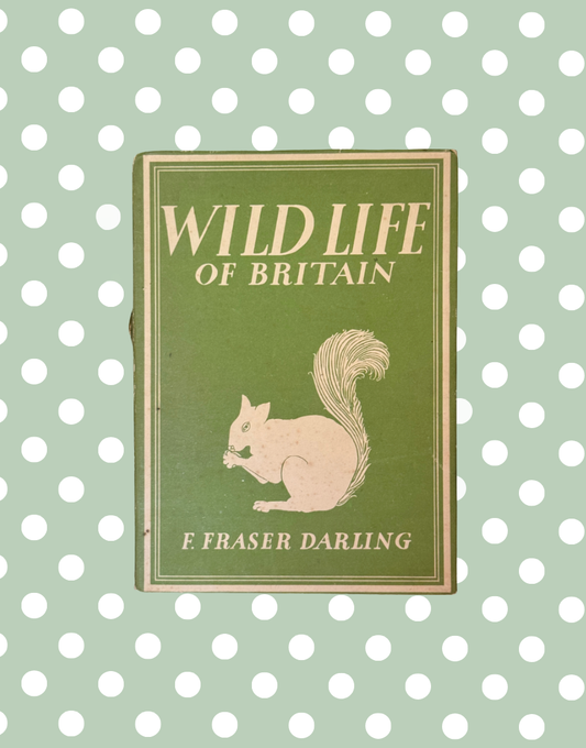Wild Life of Britain 1943 vintage natural history book with woodland squirrel dust jacket by F Fraser 