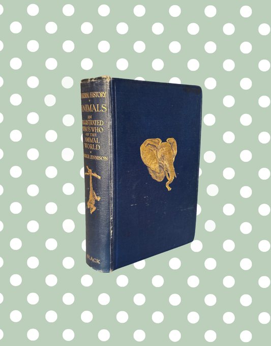 Side view of antique 1927 natural history book showing navy leather binding and aged book edges