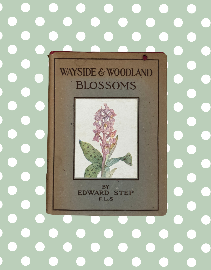 Front cover of Wayside and Woodland Blossoms vintage 