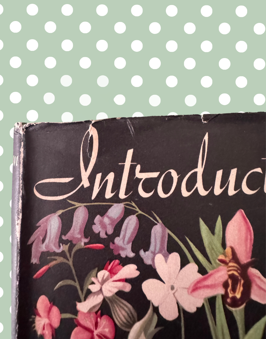 Close up showing two small tears to the top edge of the original 1949 dust jacket