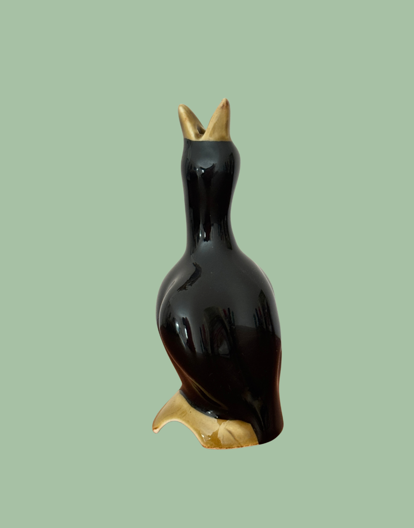 Angled rear view of the black pie bird showing the sweeping wing detail, long neck and olive-toned beak.