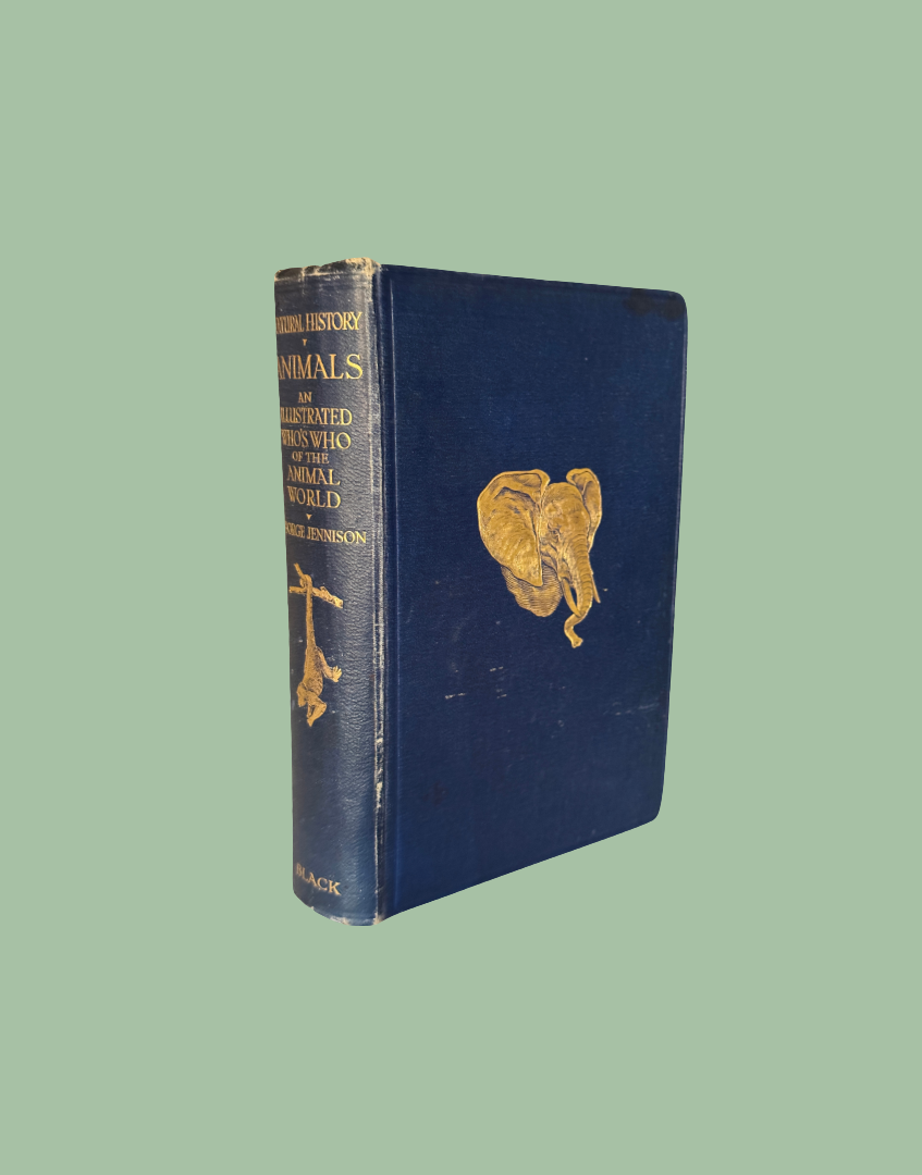 Side view of antique 1927 natural history book showing navy leather binding and aged book edges