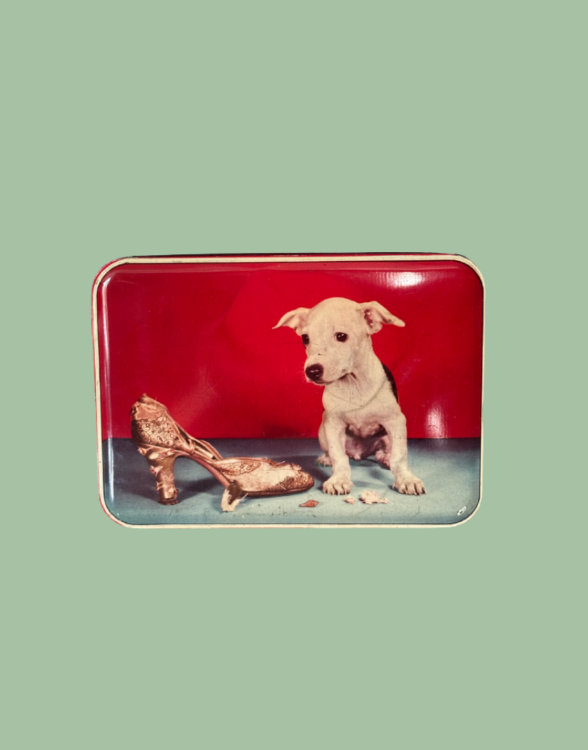 A rectangular tin with rounded corners featuring a printed illustration of a small white puppy sitting next to a broken gold high-heeled shoe against a red and blue background, set on a solid sage green backdrop.